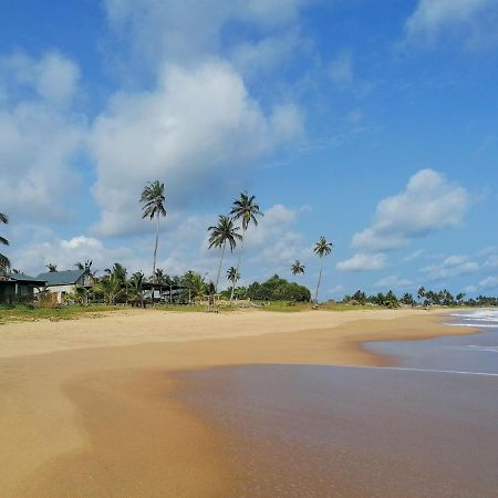 Afro Beach Eco Resort Butre Zewnętrze zdjęcie