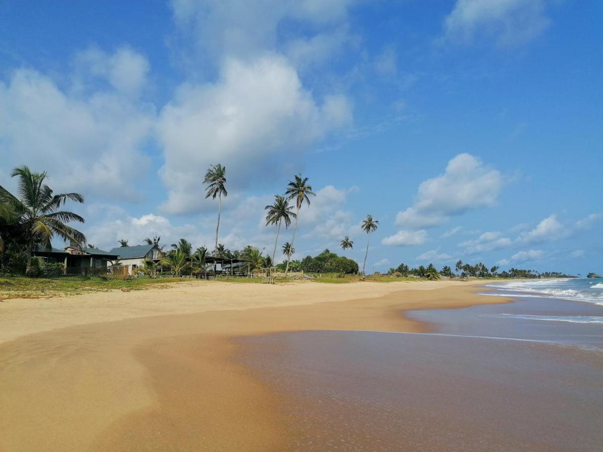 Afro Beach Eco Resort Butre Zewnętrze zdjęcie