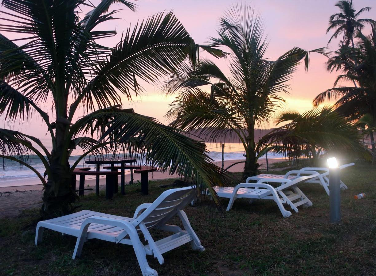 Afro Beach Eco Resort Butre Zewnętrze zdjęcie
