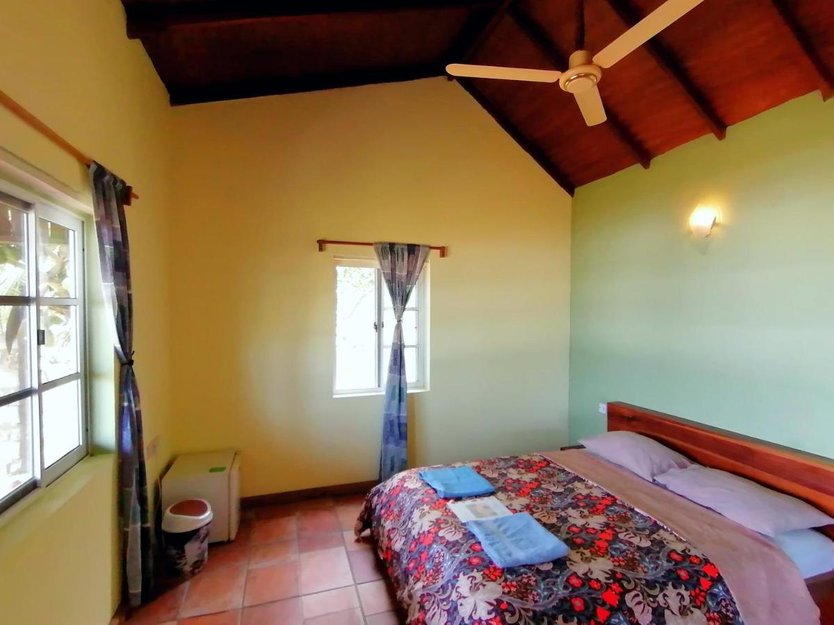 Afro Beach Eco Resort Butre Zewnętrze zdjęcie