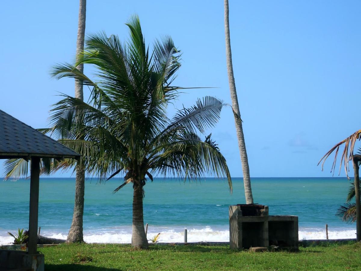Afro Beach Eco Resort Butre Zewnętrze zdjęcie