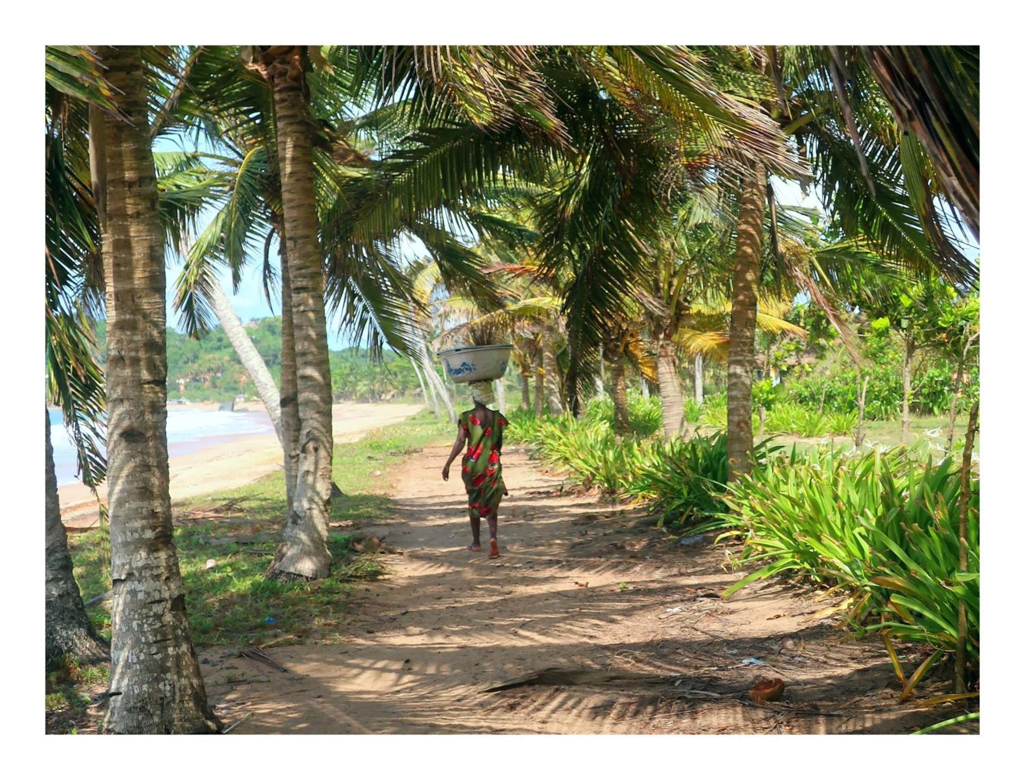 Afro Beach Eco Resort Butre Zewnętrze zdjęcie