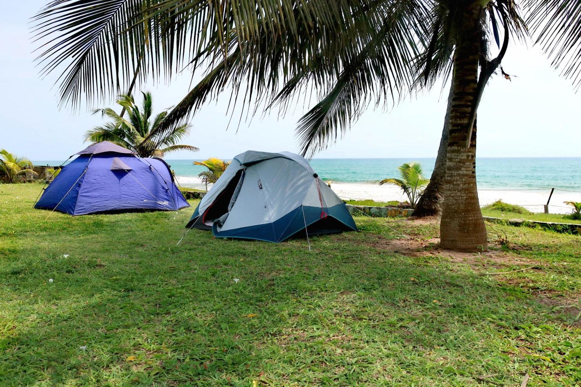 Afro Beach Eco Resort Butre Zewnętrze zdjęcie