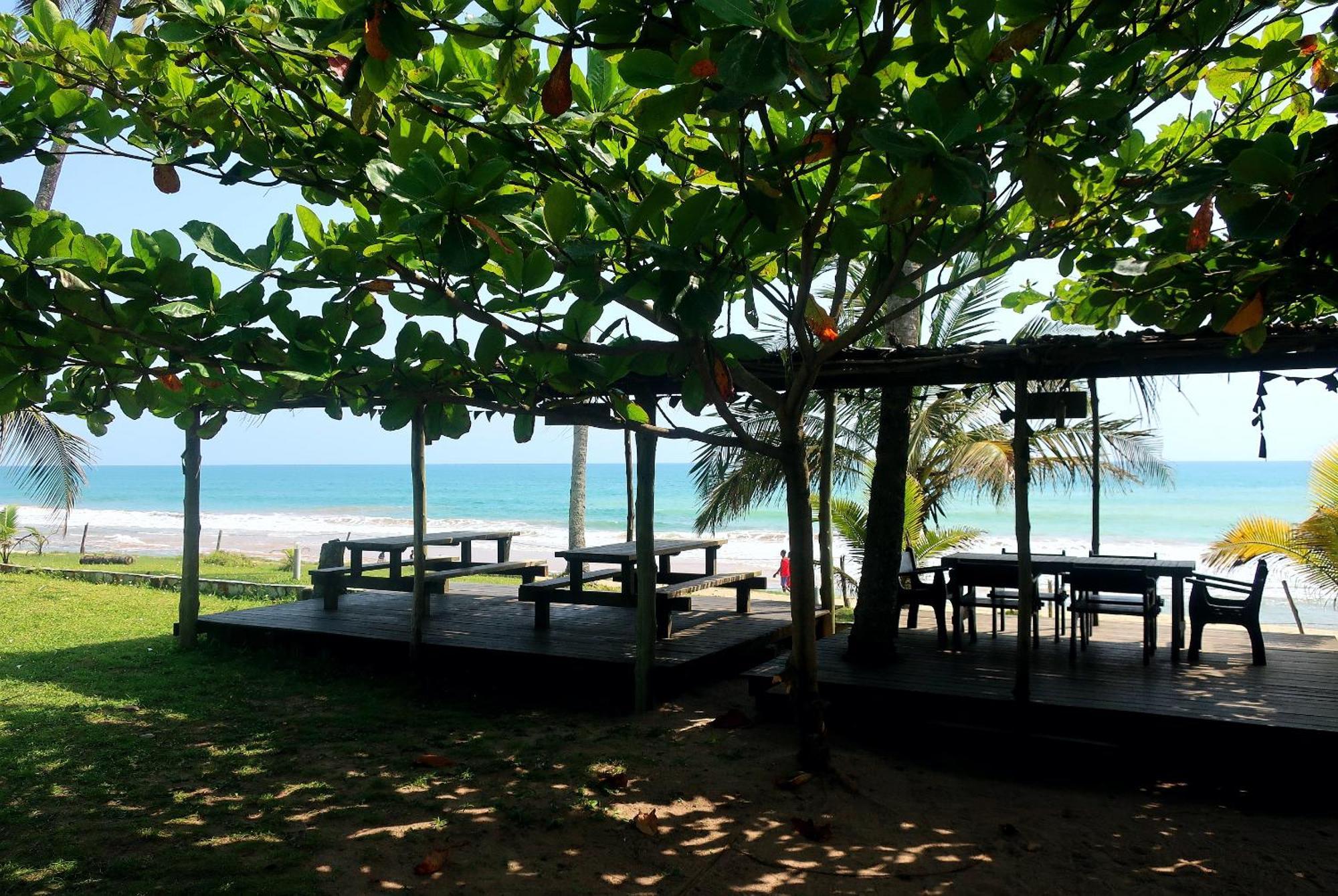 Afro Beach Eco Resort Butre Zewnętrze zdjęcie