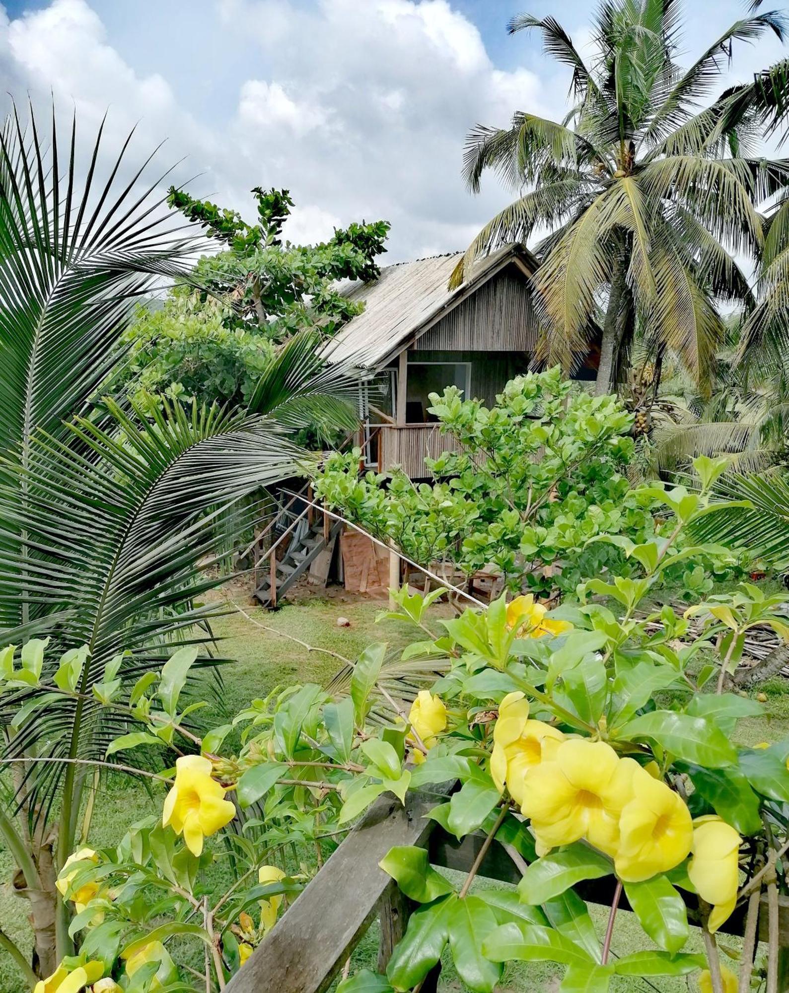 Afro Beach Eco Resort Butre Pokój zdjęcie